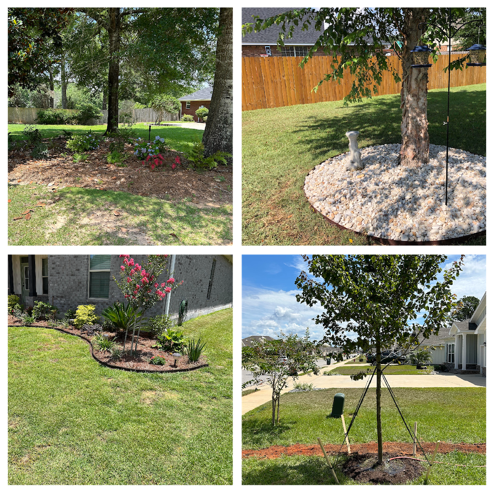 plant and tree installation at natural landscape creations